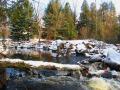 foret 10